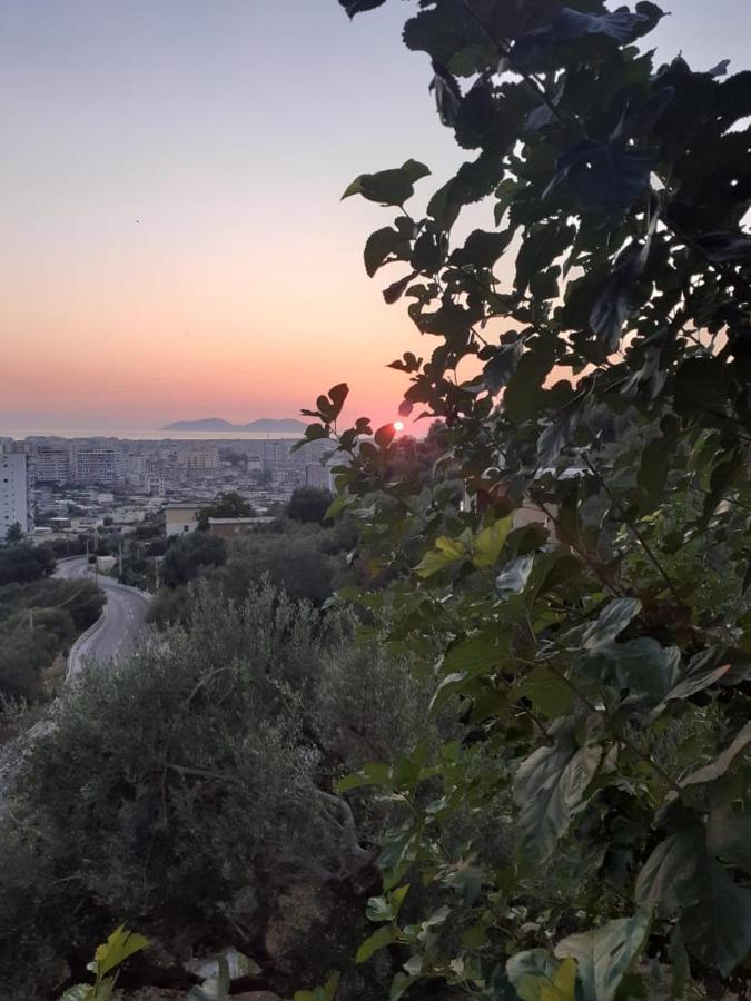 Vila Oliven Vlore Bagian luar foto