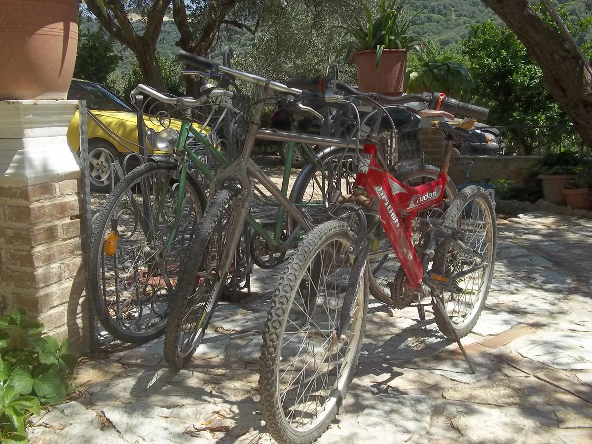 Vila Oliven Vlore Bagian luar foto